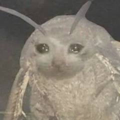 autistic.moth666