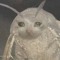 autistic.moth666