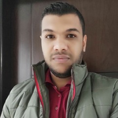 Mahmoud Abd Alnaby