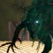 Niloticus Main