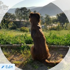 Cali Shabootica (Cali $habootic@)