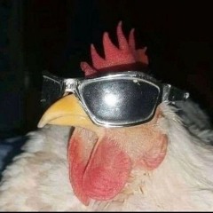 polloinsano777