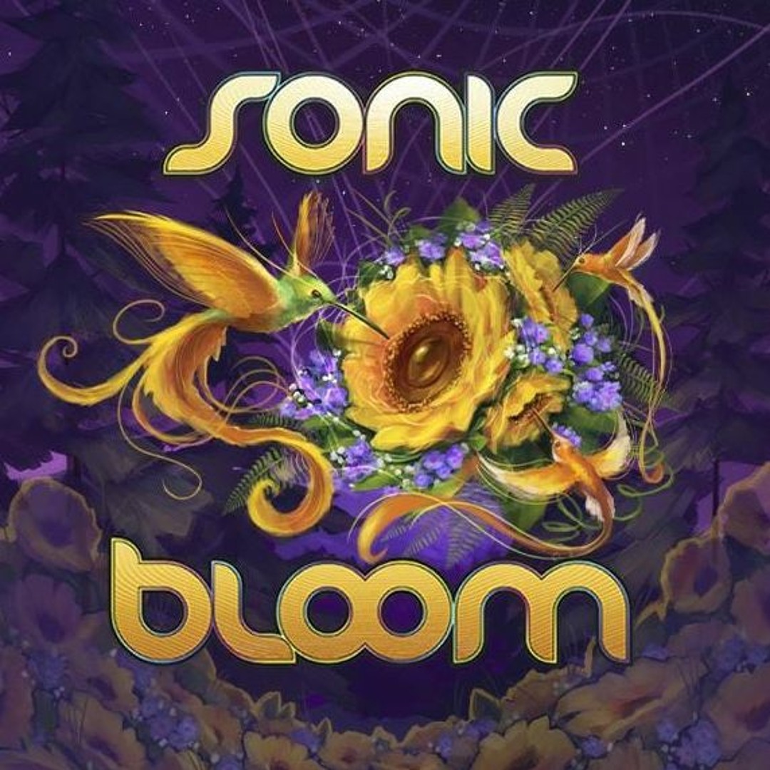 Sonic Bloom Festival Lineup 2023 Visual Experience