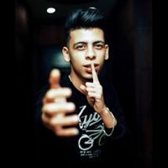 Hamo Gamal Elhawary