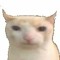 Im 15 feet tall