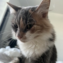 julio