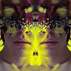 surfonSamuel