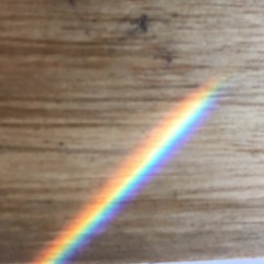 Kurt Vandendriessche