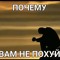 Сузуки