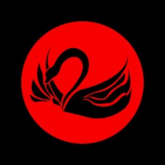MARCH THE 5IFTH | THE BLACKSWAN AFFARE