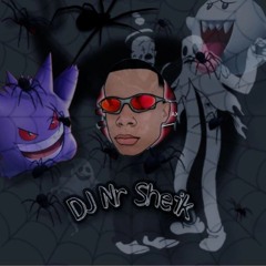 DJ  NR SHEIK