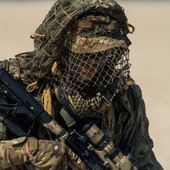 Navy seals