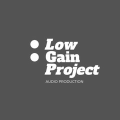 lowgain project