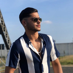 Mert Ali Sahin