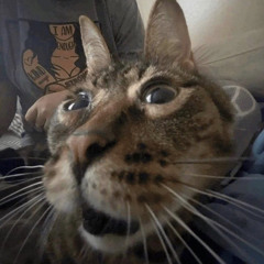diego