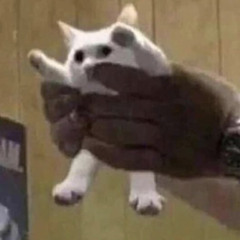 Sebastian Martinez 246