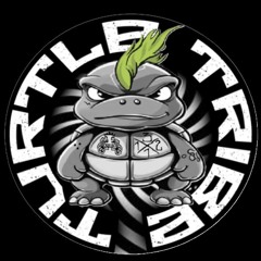 # bidouille # (TURTLE TRIBE)