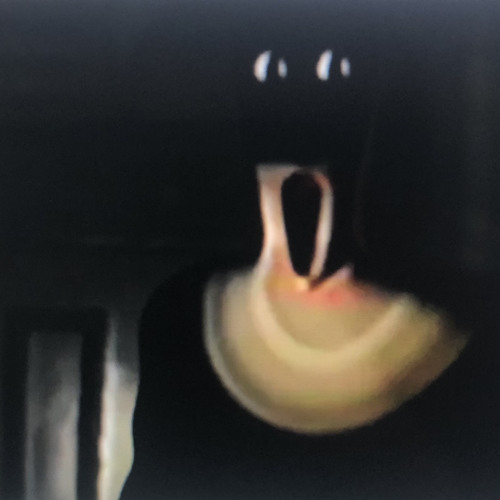 More brainrot .mp3