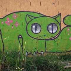 schizocat