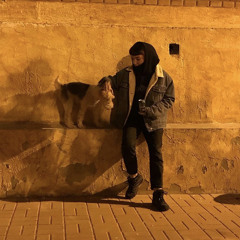 rakk00n