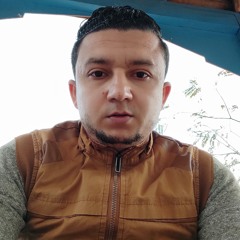 عبدالله الفولى