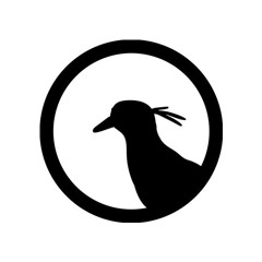 Tero