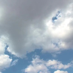 Qunst