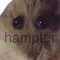 Hampter
