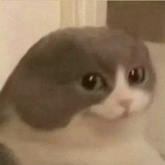 ~