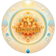 DJ Turmeric Root 🫚