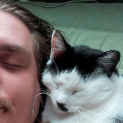 PÄBLÖ // M3M3SiS // anonysynonymous