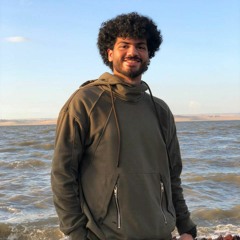 Mahmoud Anas | محمود أنس
