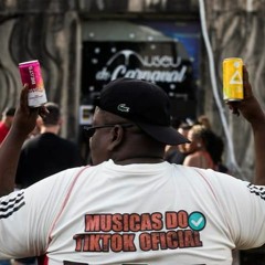VOU PASSANDO A PIROCA NELA - MC GW, DJ Felipe Único E Biel Beats