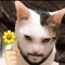 Albert Jean