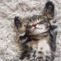 lilroo867