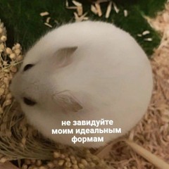 Ksundra007