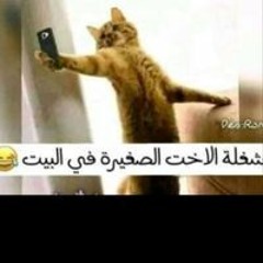 Fatma Gaber