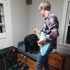 Tomothyandthehouseplants