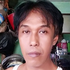 HlaPhone