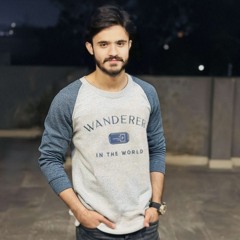 Syed Zulqarnain