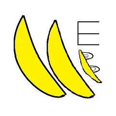 Electronicbanana528