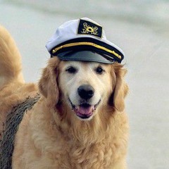 uhhhhhhdogsareepic