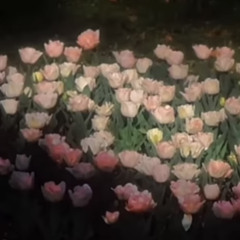 Jeniia ^*• •^ :з💗