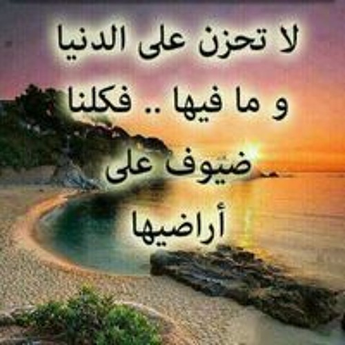 Zenab Mohamed’s avatar