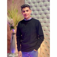 Mahmoud Elzamly
