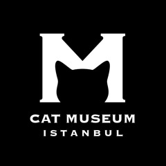 Cat Museum Istanbul