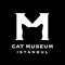 Cat Museum Istanbul
