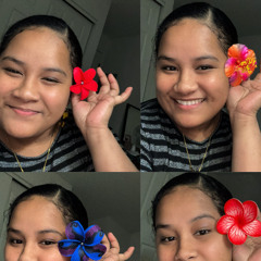 🇫🇲Søråm Tris🇫🇲