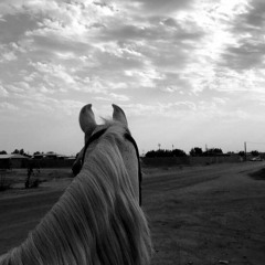 أناجي - سمير البشيري