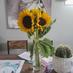 jessica Ann van 't Hof